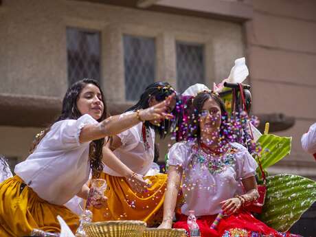 Grand Corso fleuri de Meynes
