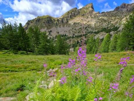 Semaine nature et montagne