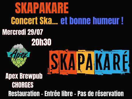 Concert Skapakaré