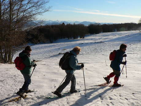 Senderismo con raquetas de nieve