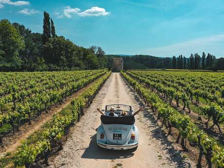 Yes Provence - The Vintage Roads