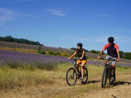 Site VTT FFC-Pays d'Oraison-Coeur de Durance-Circuit 2-Bleu-Oraison