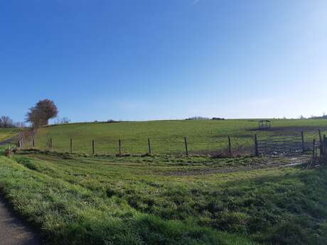 Sur les chemins de St Sulpice et St Didier d'Aussiat