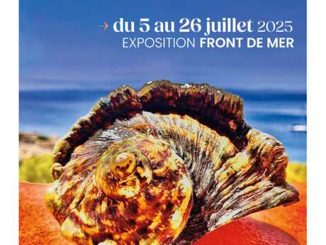 Exposition en plein air : « Trésors marins » de Pascal Légitimus