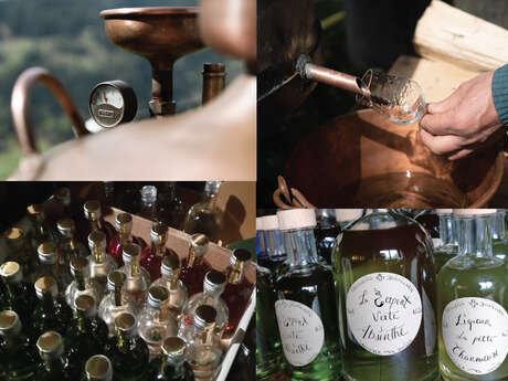 Visit of the distillery in Sarreyer