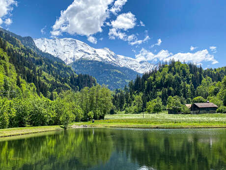 Lac de pêche du Vivier