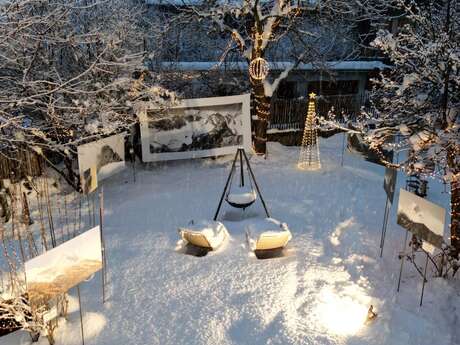Veillée poétique "le chant des arbres"