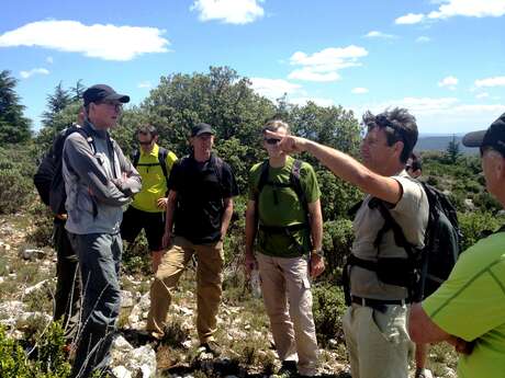 Compagnie des Grands Espaces