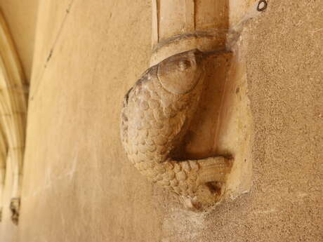 Visite Détails cachés