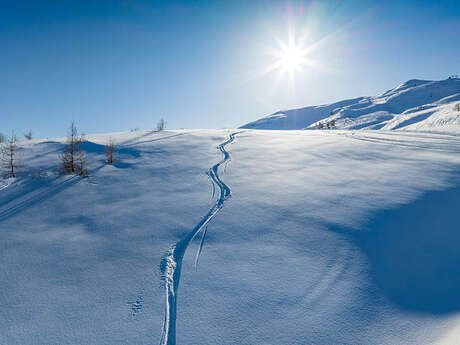 Expériences et extra ski