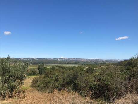 LE PARADOU - Le tour du Marais des Baux à vélo