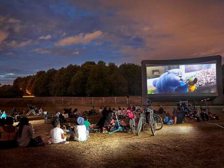 Animation - Ciné plein air en transat'