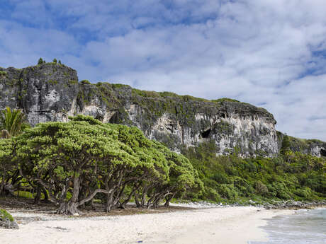 Plage de Leone