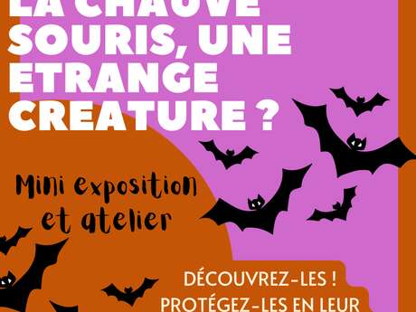 Exposition : La chauve-souris, une étrange créature !