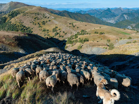 Massif des Monges