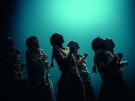 Danse : In the brain - hofesh shechter / shechter ii