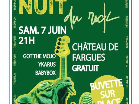 8ème Nuit du Rock