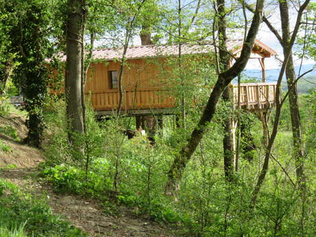 Les Mathieux - Park's hut