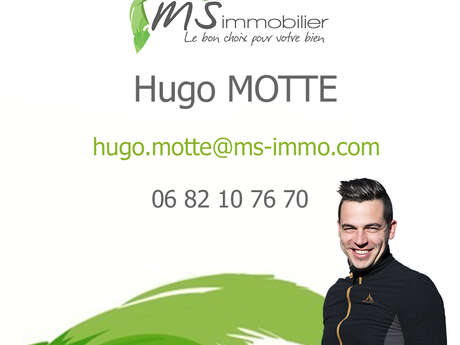 MS Immobilier