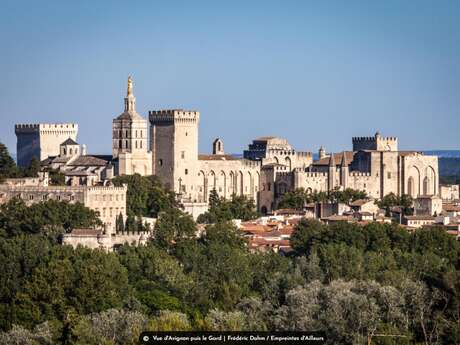 Excursion à Avignon