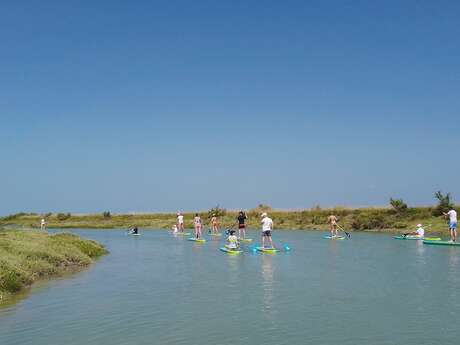 Randonnée en stand-up paddle dans les espaces naturels par Sup Évasion