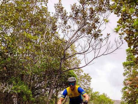 Pérignon Allianz MTB