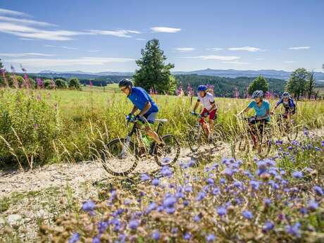 14 - Vers le Mas-de-Tence