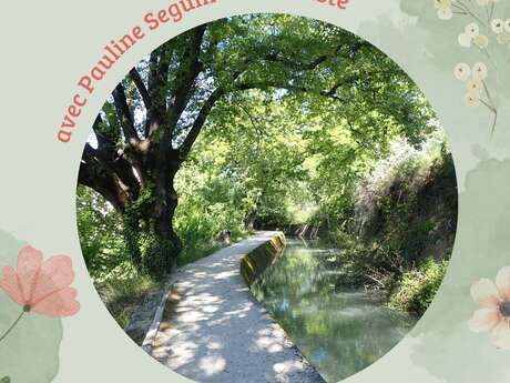 Balade plantes comestibles et médicinales du canal de Pertuis