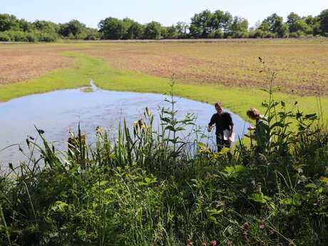 Balade européenne en Dombes