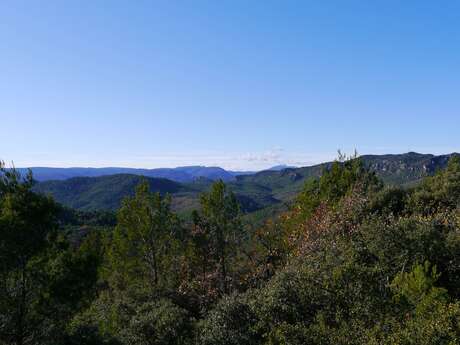 GAREOULT _ Le bois de Cavaillon