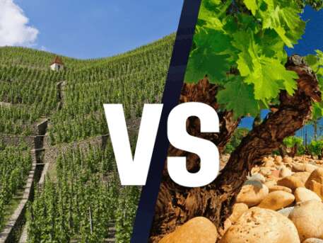 Atelier École des Vins - Découverte des Crus des Côtes du Rhône