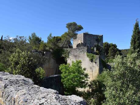 L'Art de la pierre aux Taillades - avec Destination Luberon