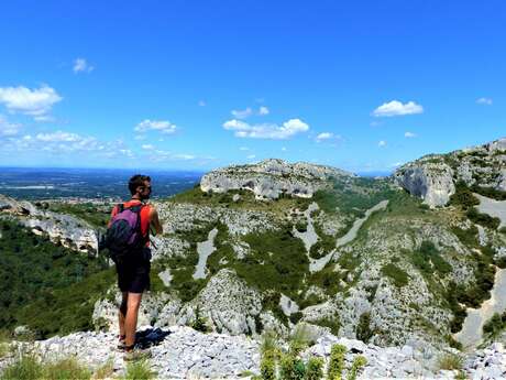 SAINT-RÉMY-DE-PROVENCE - La crête des Alpilles