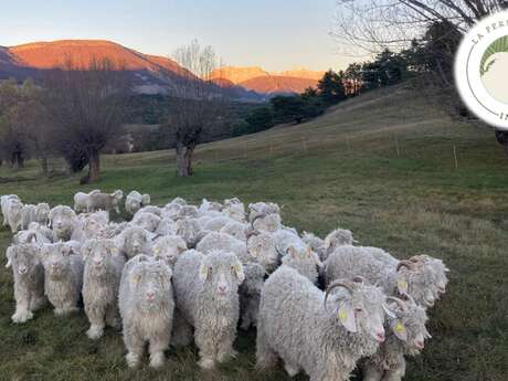 La Ferme Instant Mohair