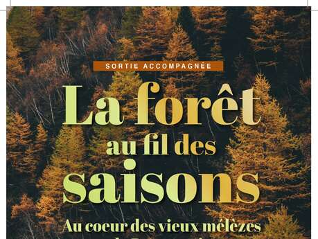 Sortie Parc - La forêt au fil des saisons