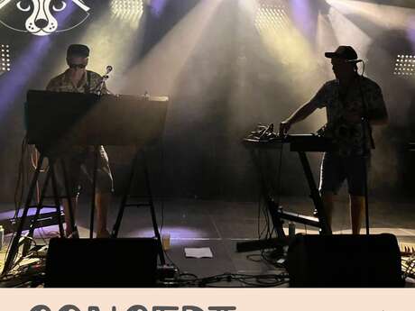 Concert Tanuki Boomboxe