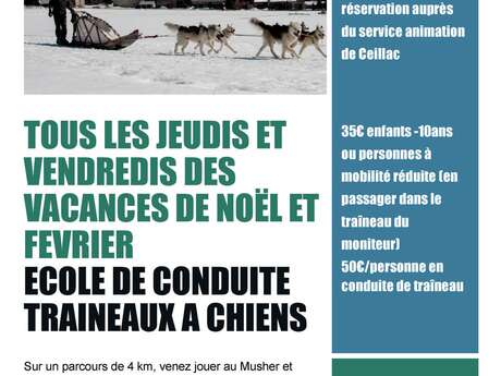 Balade en traineaux à chiens