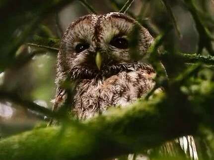 Un autre regard