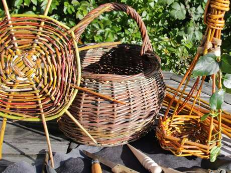 Vannerie sauvage : ethnobotanique