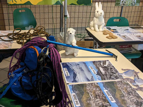 Atelier : Fonctionnement des glaciers