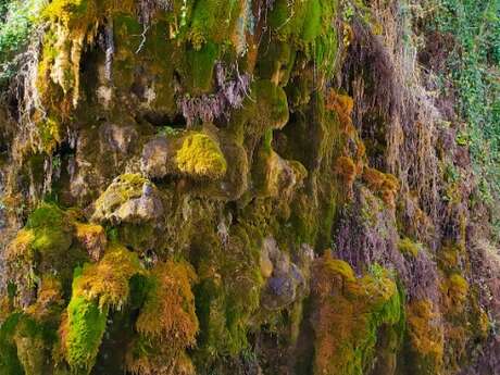 Le Grand Tuf de Maliver