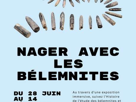 Exposition temporaire - Nager avec les bélemnites