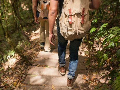 Rando douce à Velleron : Ravin de la Pouyaque