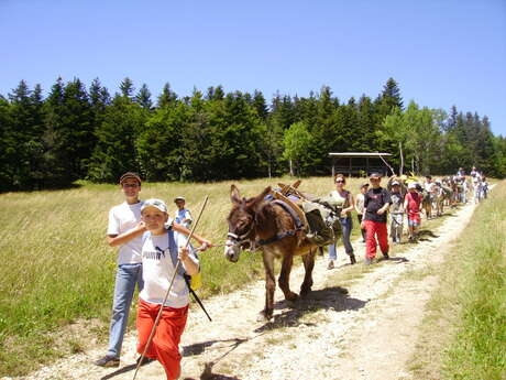 Auprès de mon âne