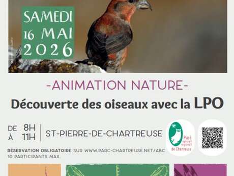Découverte des oiseaux avec la LPO
