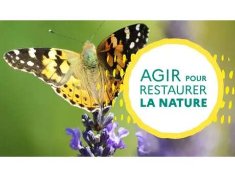 Atelier de concertation citoyenne : restaurer la nature