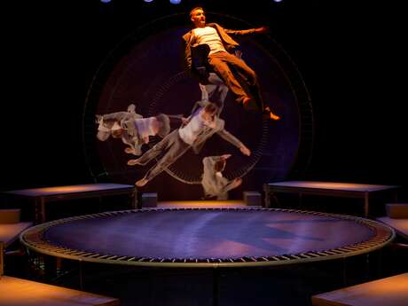 Cirque : Loops