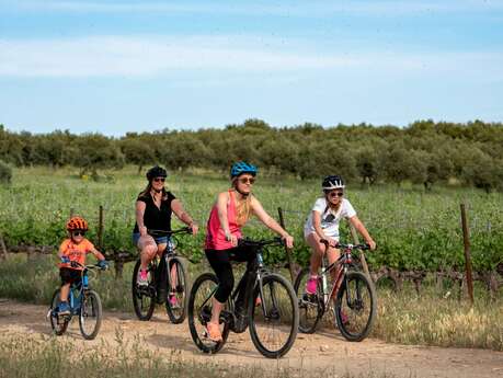 Site VTT FFC - Provence Verdon - Circuit 39 - Vert - Régusse