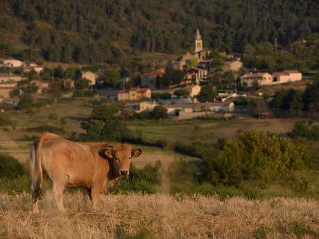 Boucle cyclo-découverte La Côte du Rhône