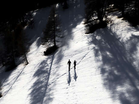 Marche au lever du jour et respiration consciente